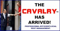 Cavalry Pest Solutions 374932 Image 7